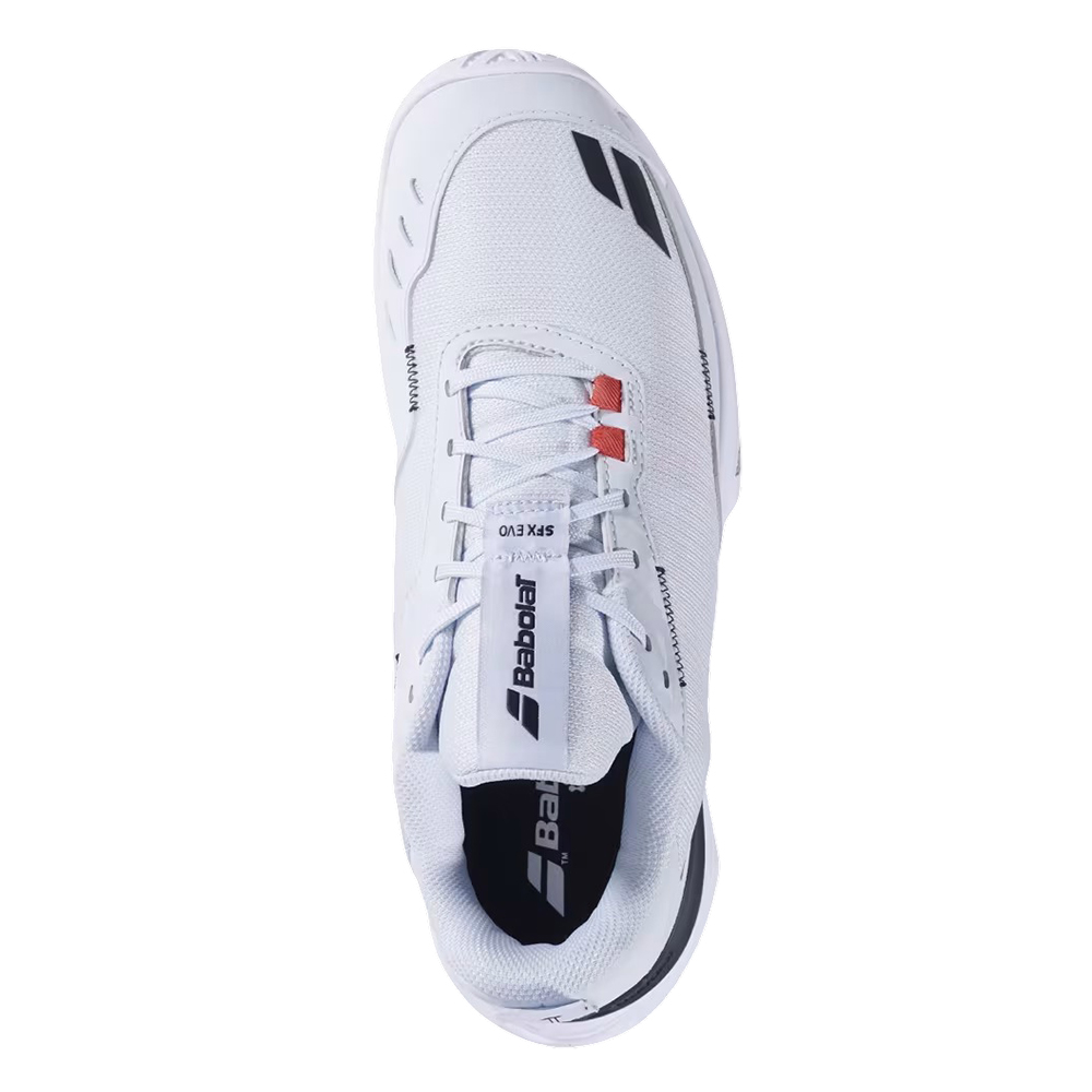 Теннисные кроссовки мужские Babolat SFX Evo All Court Men 