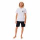 Шорты пляжные мужские Rip Curl Surf