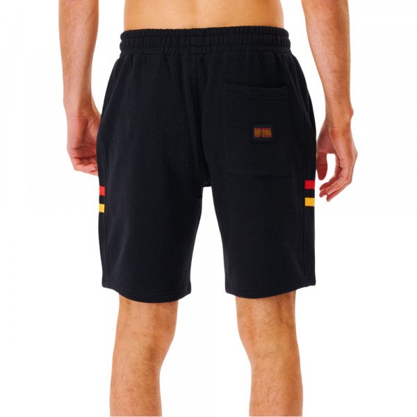 Шорты пляжные мужские Rip Curl Surf