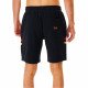 Шорты пляжные мужские Rip Curl Surf