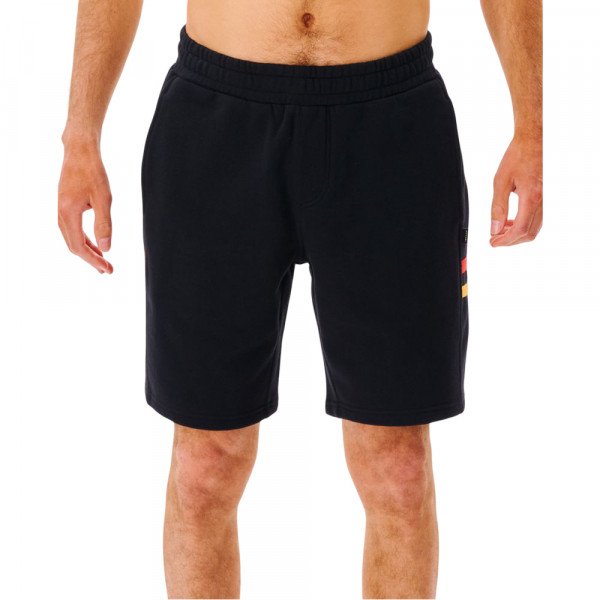 Шорты пляжные мужские Rip Curl Surf