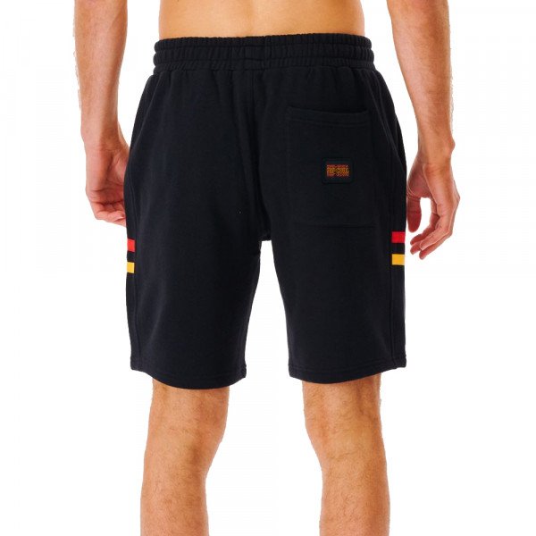 Шорты пляжные мужские Rip Curl Surf