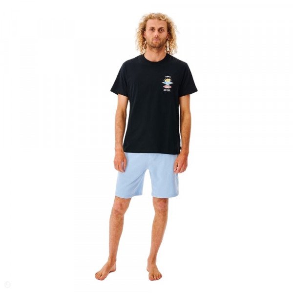 Шорты пляжные мужские Rip Curl Surf