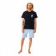 Шорты пляжные мужские Rip Curl Surf