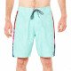 Шорты пляжные мужские Rip Curl Double