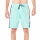 Шорты пляжные мужские Rip Curl Double