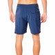 Шорты пляжные мужские Rip Curl Core
