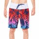Шорты пляжные мужские Rip Curl Mason