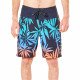 Шорты пляжные мужские Rip Curl Mason