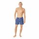Шорты пляжные мужские Rip Curl Offset