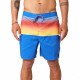 Шорты пляжные мужские Rip Curl Allover 04AMBO-8271