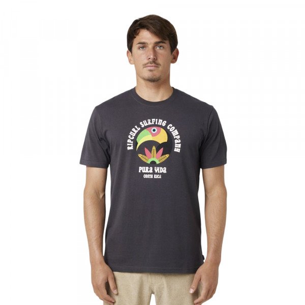 Футболка мужская Rip Curl Desti