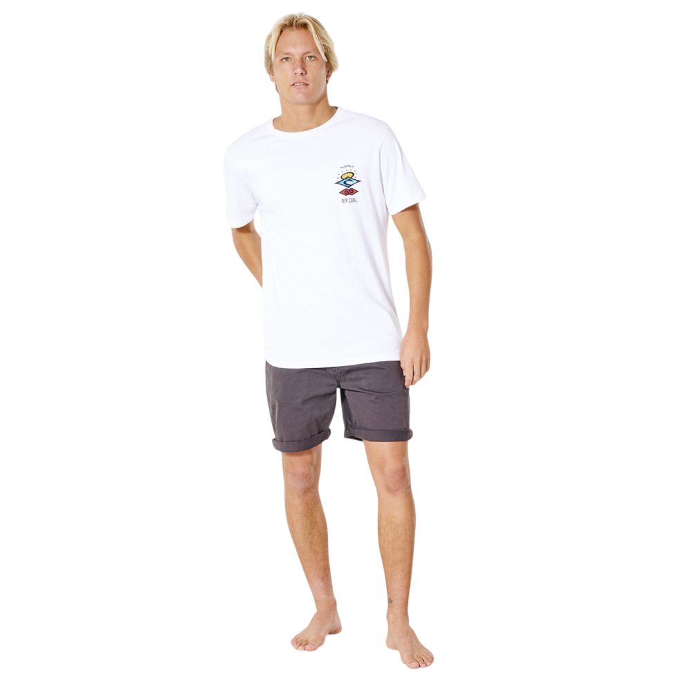 Шорты спортивные мужские Rip Curl Twisted