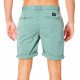 Шорты спортивные мужские Rip Curl Twisted