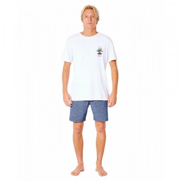 Шорты пляжные мужские Rip Curl Boardwalk