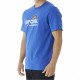 Футболка мужская Rip Curl Surf