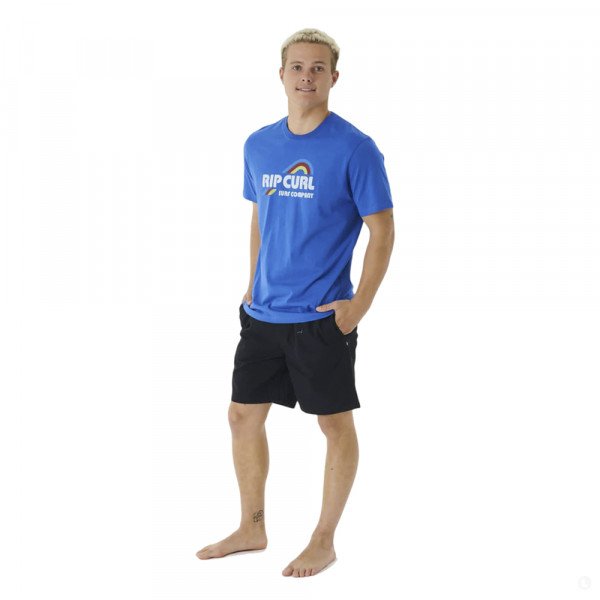 Футболка мужская Rip Curl Surf