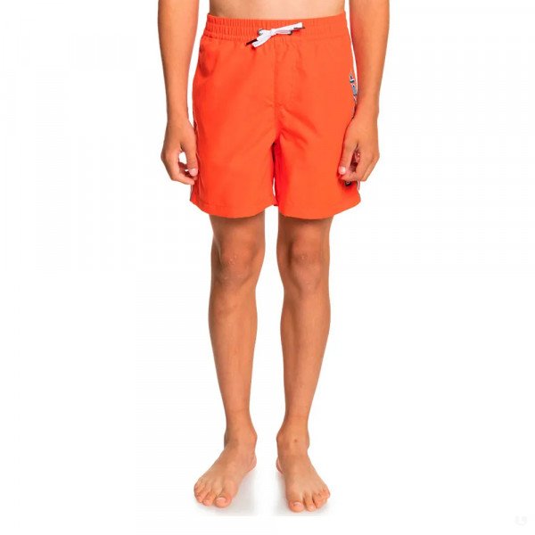 Шорты для плавания детские Quiksilver Vert 14 B Jamv