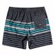 Шорты пляжные мужские Billabong All Day Stripes Lb