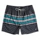 Шорты пляжные мужские Billabong All Day Stripes Lb