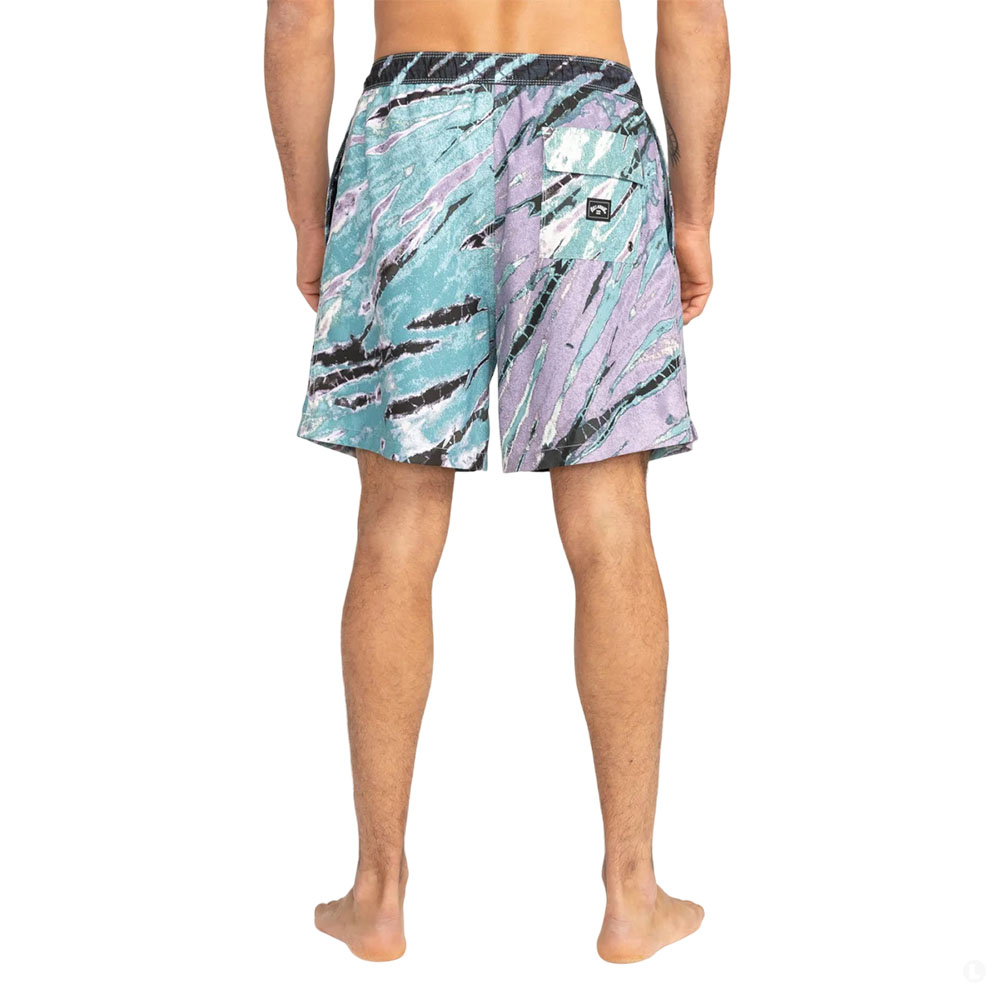 Шорты мужские Billabong Wasted Times Lb 