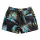 Шорты пляжные мужские Quiksilver Mix Str 15 M Jamv