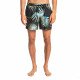 Шорты пляжные мужские Quiksilver Mix Str 15 M Jamv