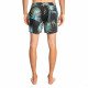 Шорты пляжные мужские Quiksilver Mix Str 15 M Jamv