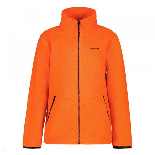 Толстовка флисовая детская Icepeak B Koyuk Jr