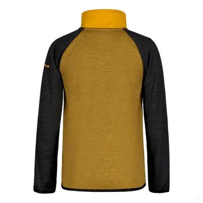 Флисовая кофта детская Icepeak Kendrick